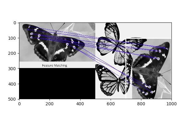 Feature Detection is Real, and it just Found Flesh - Eating Butterflies 2 buterfly