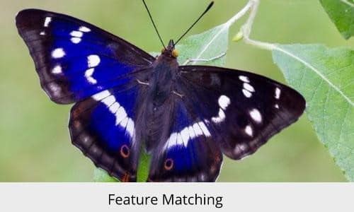 Blog 72 Feature Feature