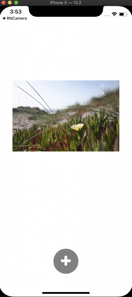 Using the Camera in React Native 13 react native camera12