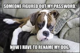 Umbraco 8: Authentication & Authorization 1 umbraco81