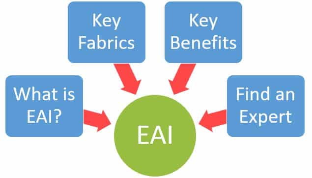 What is Enterprise Application Integration and How to Find an Expert? 1 Enterprise Application Integration