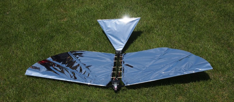 Robotic Bird Flight 1 robobird 2